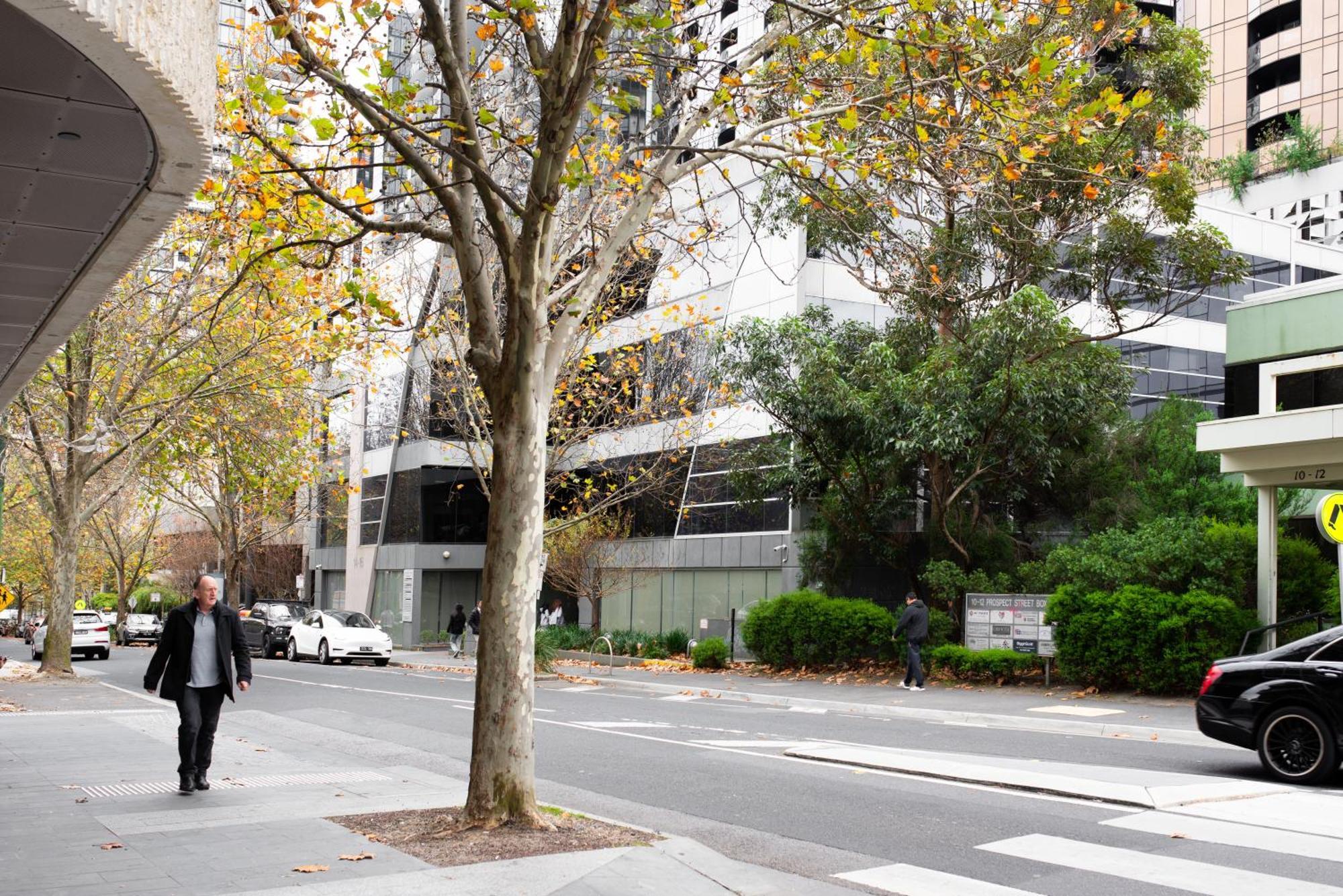 Apartment Next To Public Station, Boxhill Central, 2 Bedrooms, Free Parking And Wifi ボックスヒル エクステリア 写真